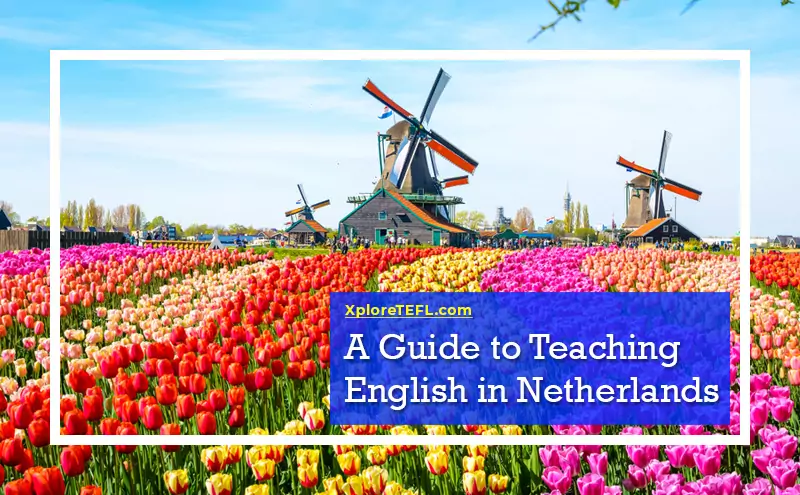 A Guide to Teaching English in Netherlands