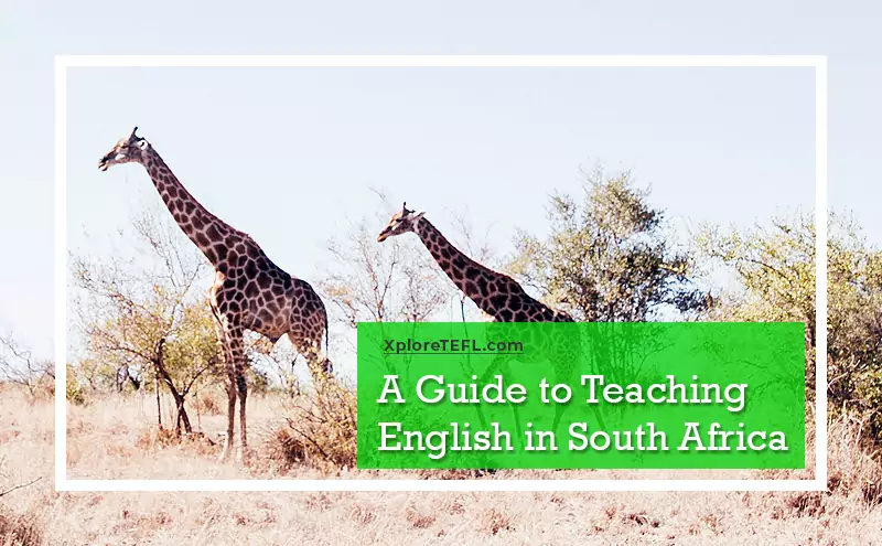 A Guide to Teaching English in South Africa